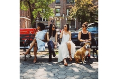 Image Four women sit on a bench in a city park on sunny day while holding their pets.